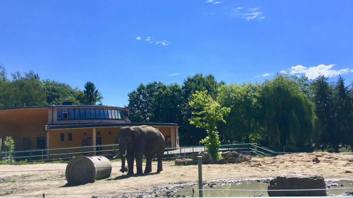 Śląskie ZOO Chorzów