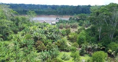Hacienda Tambopata nad rzeką