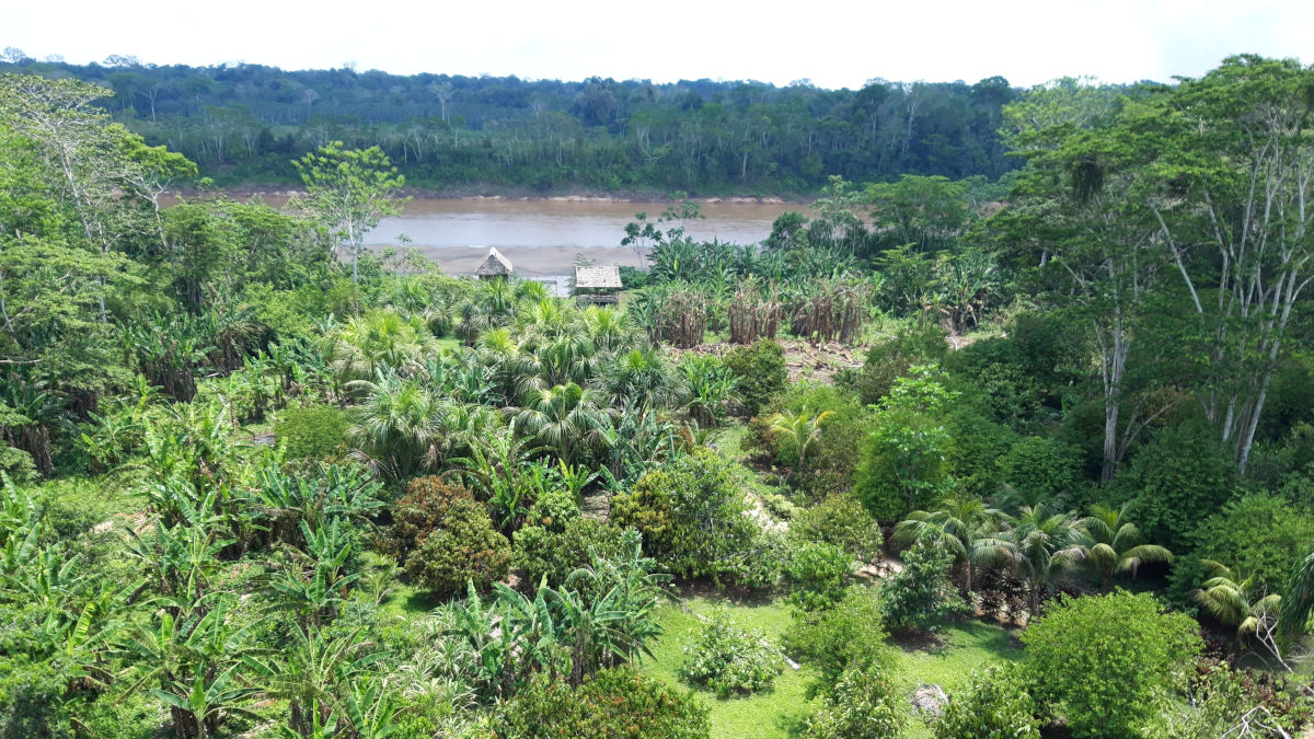 Park Narodowy Tambopata Peru