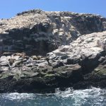 Islas Ballestas Rezerwat Narodowy Paracas