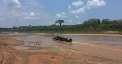 Rejs po rzece Tambopata w Peru