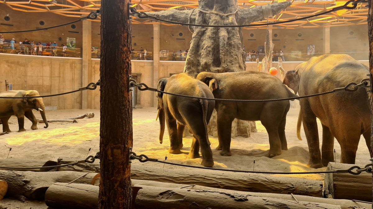 Orientarium ZOO Łódź